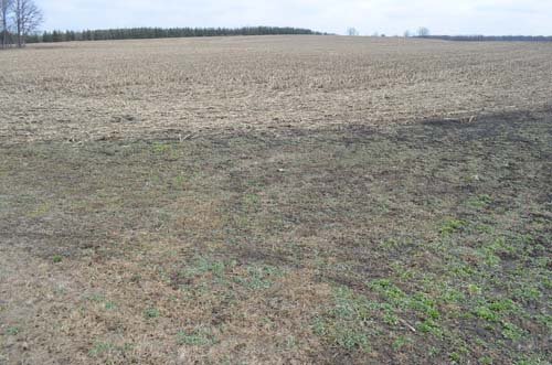 Property photo 82 - 98+/- Acres Offered in 6 Tracts or Combinations, Noble County, Indiana Farm